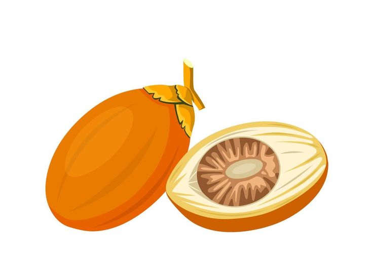Areca nut